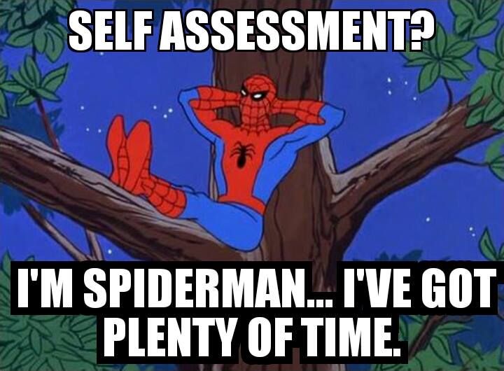 selfassessment spiderman